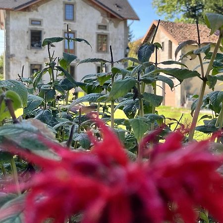 Chambre D'Hote Nature Domaine Du Bagnerot Bed & Breakfast La Chapelle-aux-Bois Exterior photo